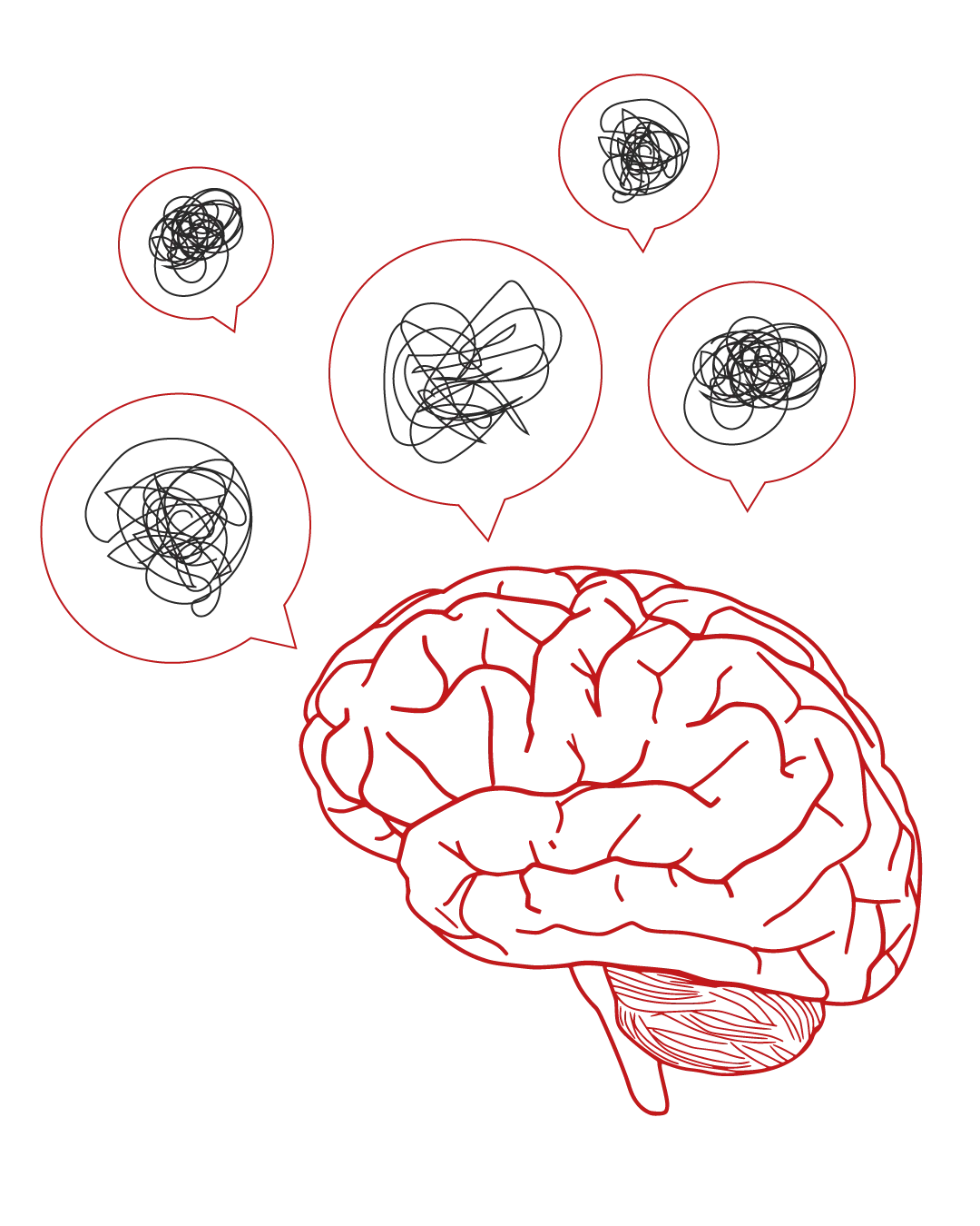 cerveau 02