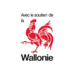 logo soutien wallonie 100