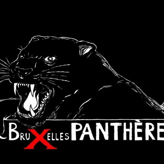 WhatsApp Image 2026-02-24 at 22.23.30